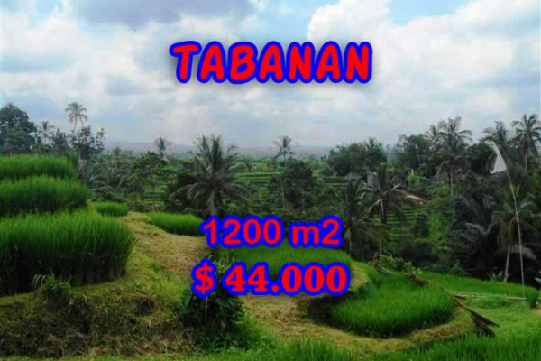 Astonishing Property in Bali, Land for sale in Tabanan Bali – 1.200 m2 @ $ 39
