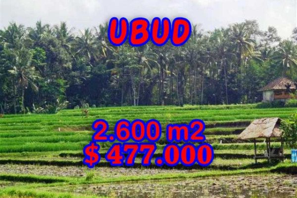 Astonishing Property in Bali, Land for sale in Ubud Bali – 2.600 m2 @ $ 183