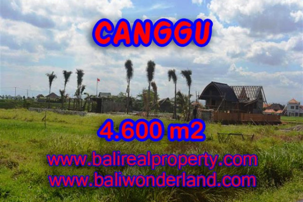 Land for sale in Bali, Extraordinary view in Canggu Bali – 4,600 sqm @ $ 539
