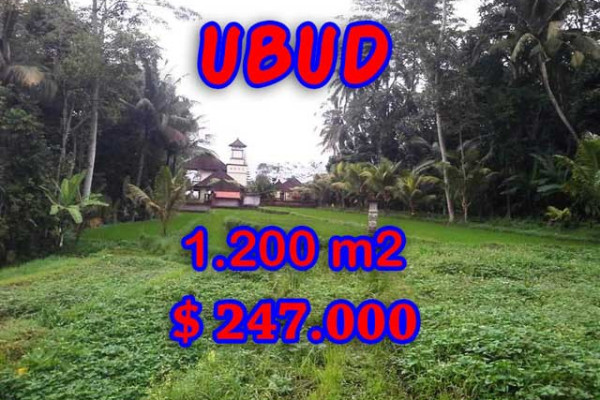 Land in Bali for sale, Great view in Ubud Bali – 1,200 m2 @ $ 206
