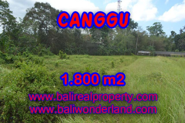 Splendid Property for sale in Bali, Canggu land for sale – 1,800 sqm @ $ 594