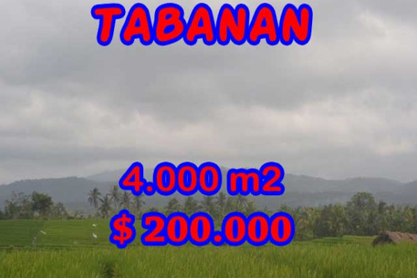 Land in Bali for sale, Great view in Tabanan Bali – 4.000 m2 @ $ 39