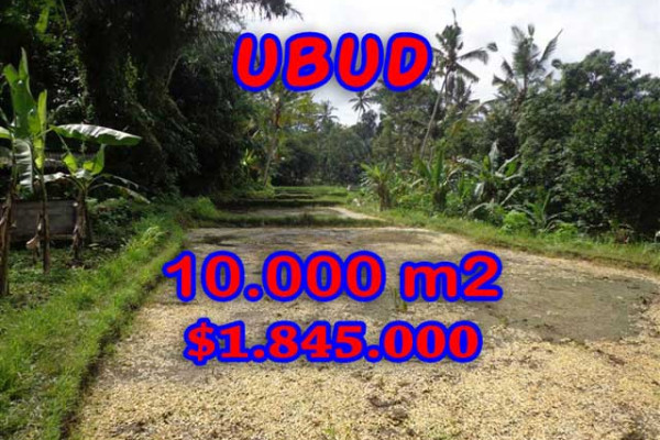 Land for sale in Bali, Incredible view in Ubud Bali – 10.000 m2 @ $ 184