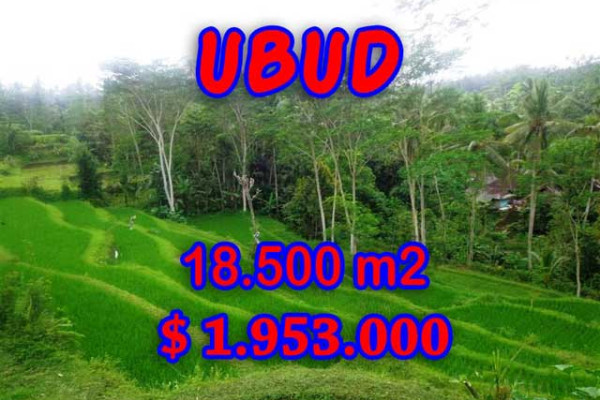 Attractive Property for sale in Bali, Ubud land for sale – 18,500 m2 @ $ 106