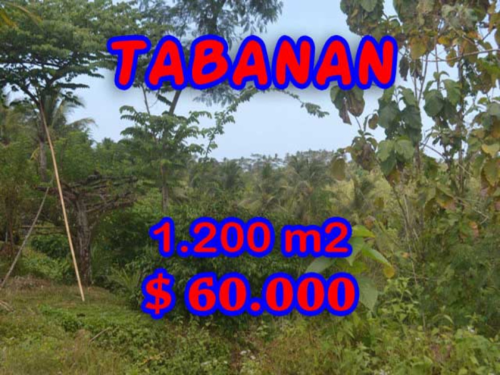 Amazing Property in Bali, Land for sale in Tabanan Bali – 1.200 m2 @ $ 39