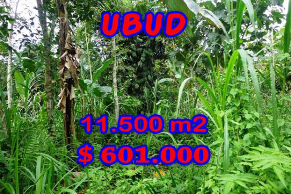 Land for sale in Bali, Magnificent view in Ubud Bali – 11.500 m2 @ $ 52