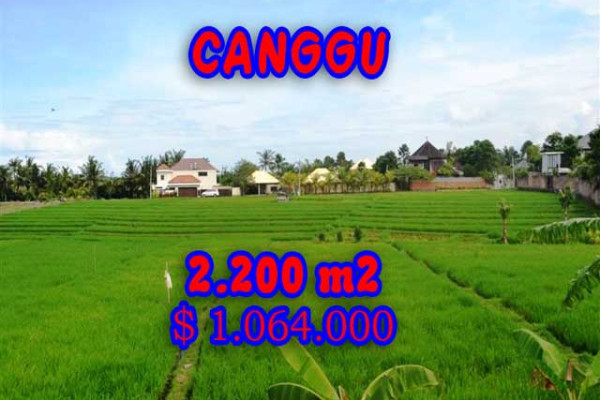 Extraordinary Property in Bali, Land for sale in Canggu Bali – 2.200 m2 @ $ 483