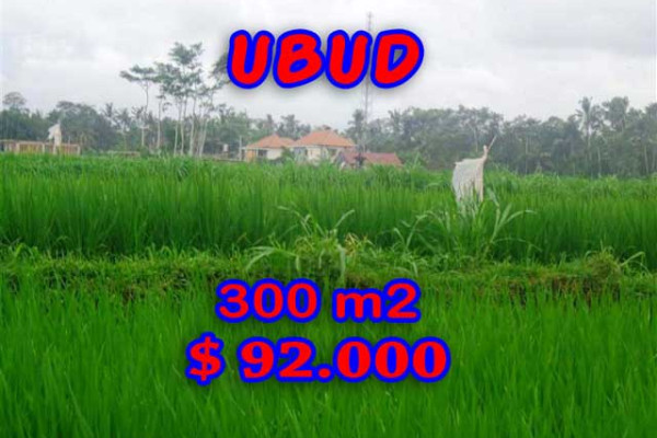 Land in Bali for sale, Stunning Property in Ubud Bali – 300 m2 @ $ 306