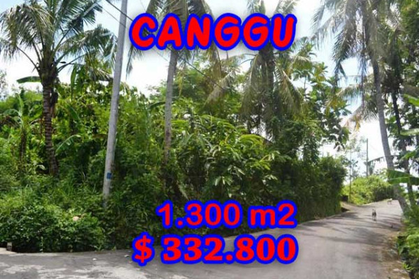 Land for sale in Bali, Exceptional view in Canggu Bali – 1.300 m2 @ $ 256