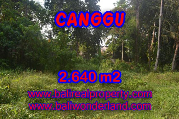 Attractive Property in Bali, Land sale in Canggu Bali – 2.640 sqm @ $ 328