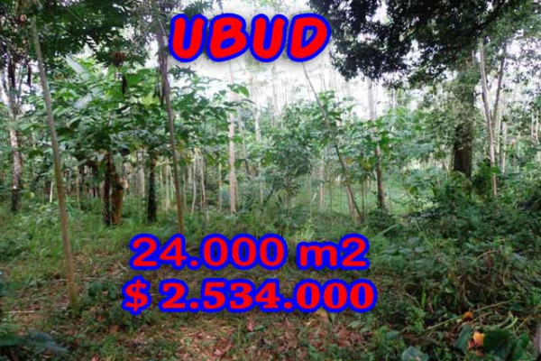Land for sale in Bali, Exceptional view in Ubud Bali – 24.000 m2 @ $ 106