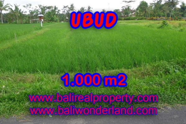 Amazing Property in Bali, Land for sale in Ubud Bali – 1.000 m2 @ $ 120