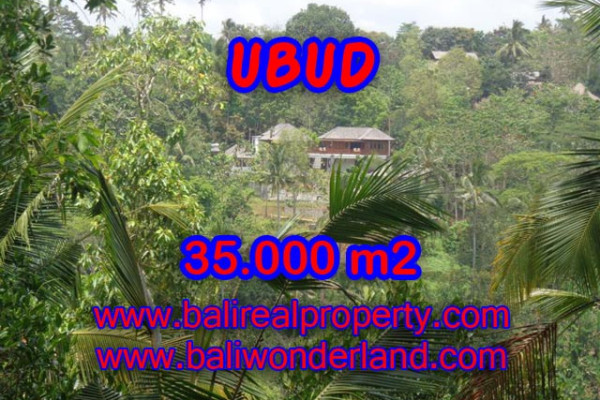 Land for sale in Bali, Magnificent view in Ubud Bali – 35.000 m2 @ $ 185