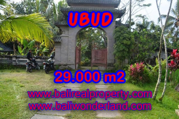 Land for sale in Bali, Spectacular view in Ubud Bali – 29.000 m2 @ $ 185