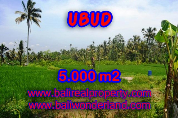 Land for sale in Bali, Fantastic view in Ubud Bali – 5.000 m2 @ $ 75