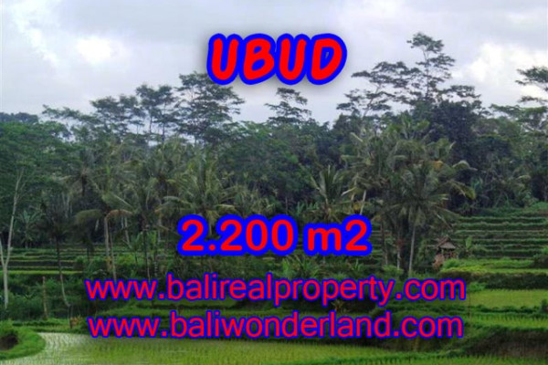 Astonishing Property in Bali, Land for sale in Ubud Bali – 2.200 m2 @ $ 98
