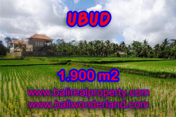 Magnificent Property in Bali, Land for sale in Ubud Bali – 1.900 m2 @ $ 315