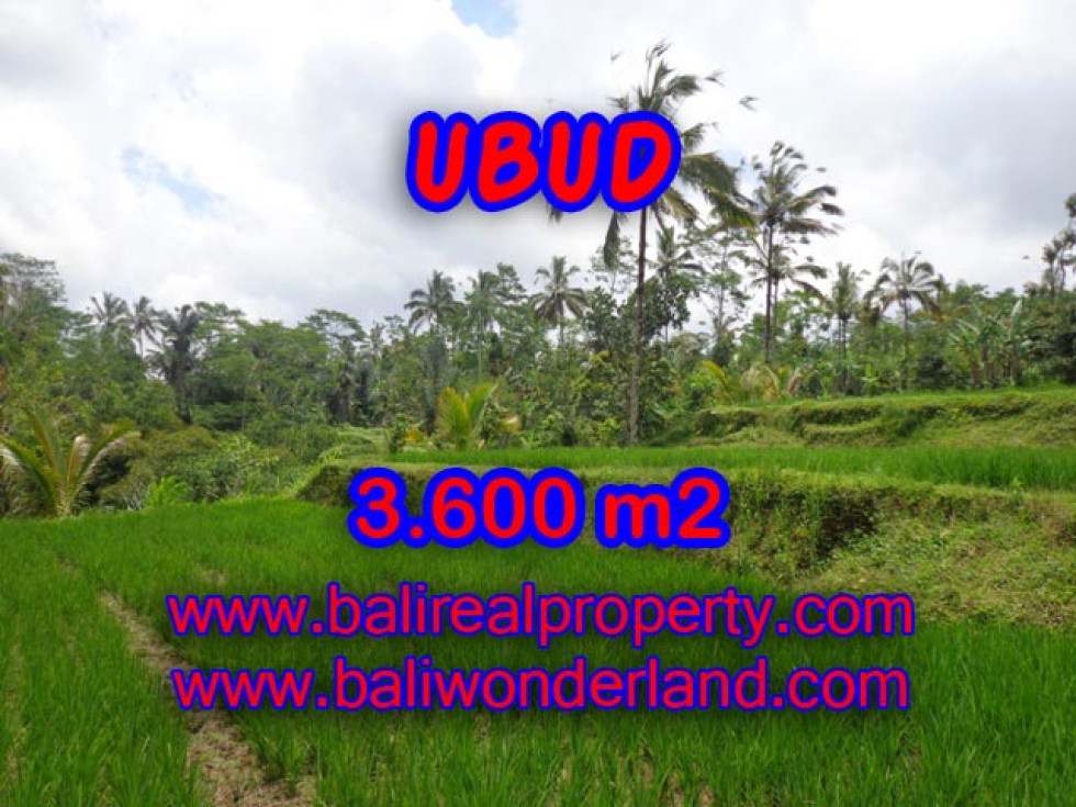 Extraordinary Property in Bali, Land for sale in Ubud Bali – 3.600 m2 @ $ 55