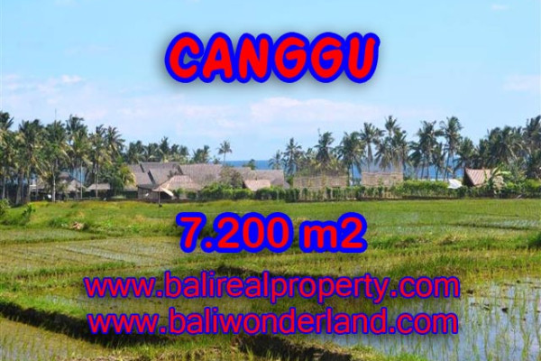 Land for sale in Bali, Amazing view in Canggu Bali – 7,200 sqm @ $ 639