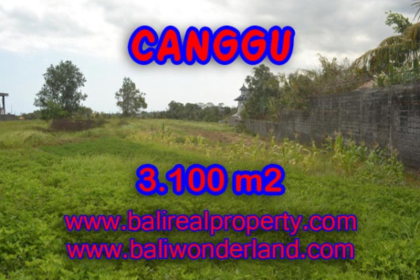 Exotic Property in Indonesia, Land for sale in Canggu Bali – 3,100 sqm @ $ 539