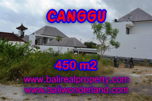 Exotic Property in Bali, Land for sale in Canggu Bali – 450 sqm @ $ 850