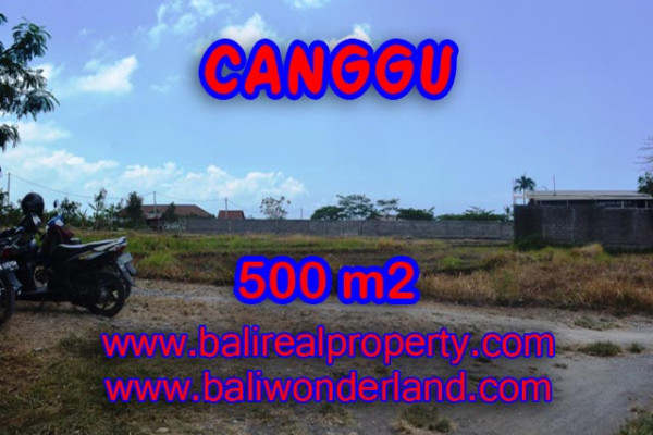 Magnificent Property in Bali, land in Canggu Bali for sale – 500 sqm @ $ 850