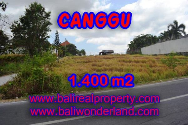 Splendid Property for sale in Bali, Canggu land for sale – 1,400 sqm @ $ 983