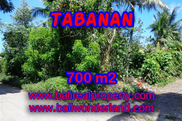 Land in Bali for sale, Stunning Property in Tabanan Bali – 700 m2 @ $ 380