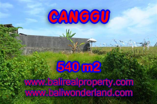 Property in Bali for sale, Beautiful LAND FOR SALE IN CANGGU Bali  – 540 m2 @ $ 435
