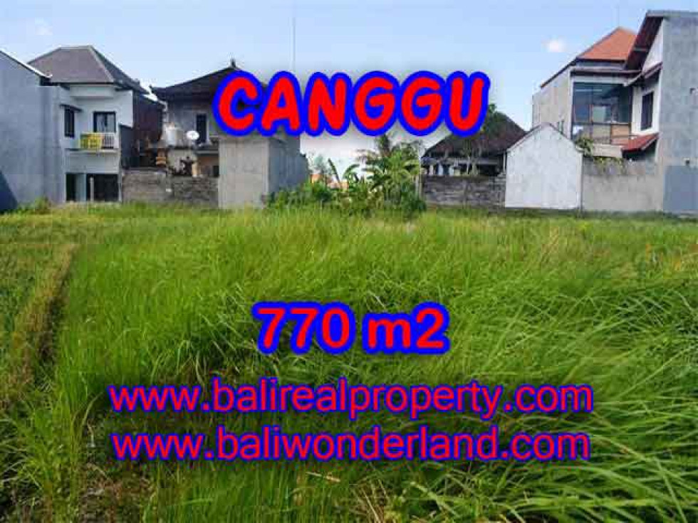 Fantastic Property in Bali, LAND FOR SALE IN CANGGU Bali – 770 m2 @ $ 550