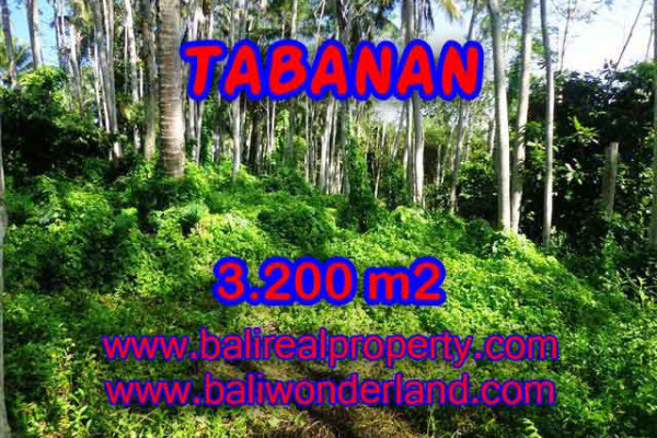 Amazing Property in Bali, LAND FOR SALE IN TABANAN Bali – 3.200 m2 @ $ 45