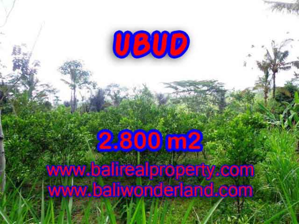 Terrific Property for sale in Bali, LAND FOR SALE IN UBUD Bali  – 2.800 m2 @ $ 65