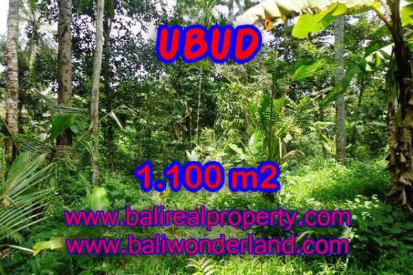 Bali Property for sale, Nice View land for sale in Ubud Bali  – 1.100 m2 @ $ 145
