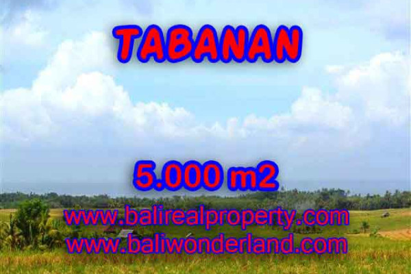 Magnificent Property in Bali, Land for sale in Tabanan Bali – 5.000 m2 @ $ 85