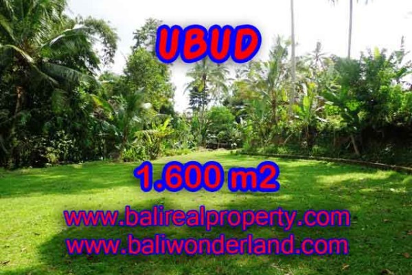 Exotic Property for sale in Bali, Land in Ubud for sale– 1.600 m2 @ $ 385