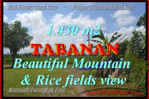 Terrific Property for sale in Bali, LAND FOR SALE IN TABANAN Bali  – 1.430 m2 @ $ 195
