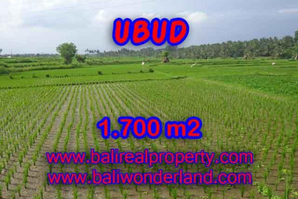 Land for sale in Bali, Exceptional view in Ubud Bali – 1.700 m2 @ $ 150