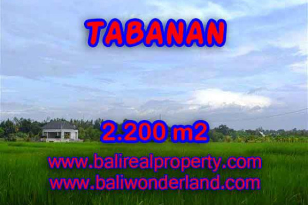 Extraordinary Property in Bali, Land in Tabanan for sale – 2.200 m2 @ $ 265