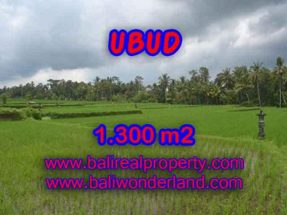 Land for sale in Bali, Interesting view in Ubud Bali – 1.300 m2 @ $ 300