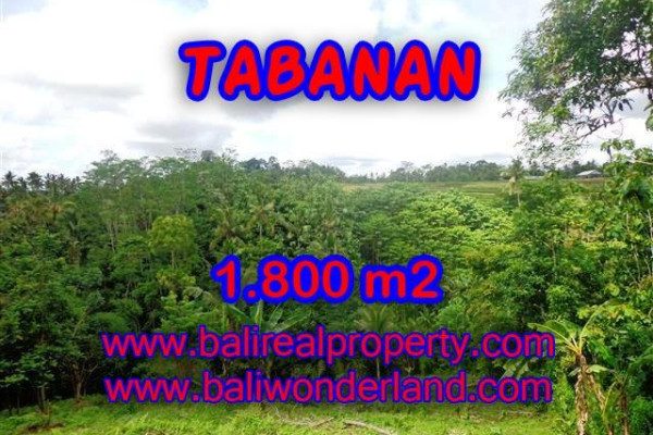 Bali Property for sale, Nice View land for sale in Tabanan Bali  – 1.800 m2 @ $ 28