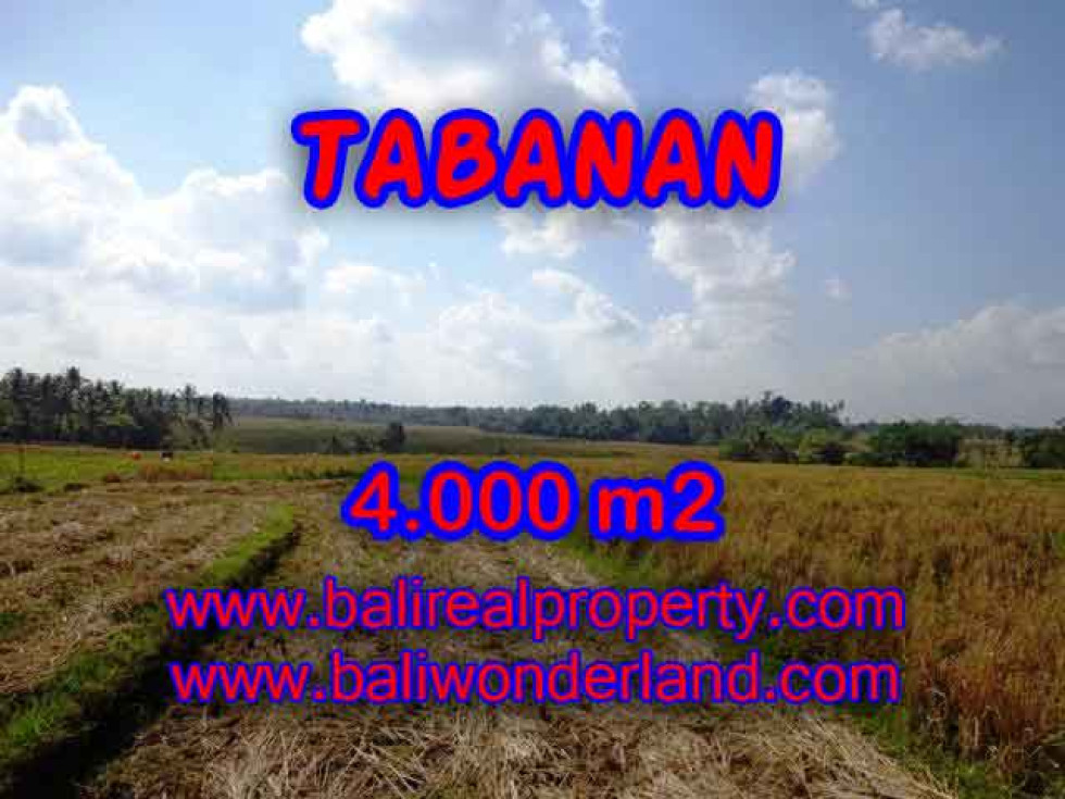 Land in Bali for sale, Great view in Tabanan Bali – 4.000 m2 @ $ 45