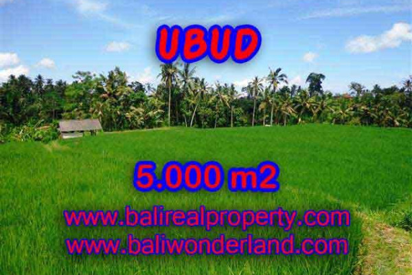 Fantastic Property in Bali, LAND FOR SALE IN UBUD Bali – 5.000 m2 @ $ 170