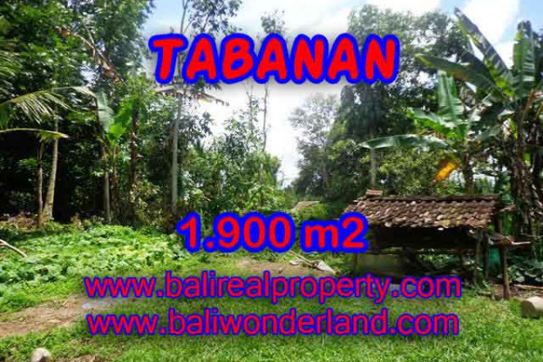 Astonishing Property in Bali, Land for sale in Tabanan Bali – 1.900 m2 @ $ 35