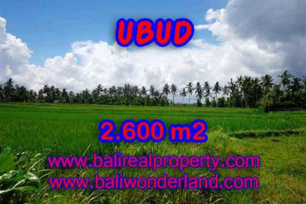 Astonishing Property for sale in Bali, LAND FOR SALE IN UBUD Bali – TJUB374