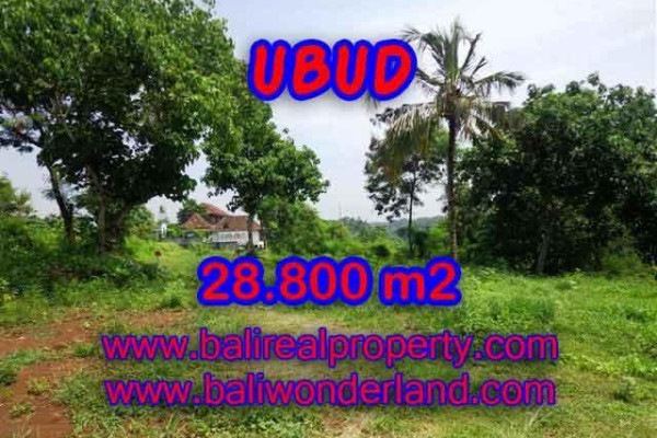 Land in Bali for sale, Stunning view in Ubud Bali – TJUB366