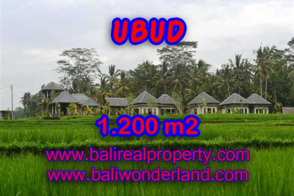 Land for sale in Bali, spectacular view in Ubud Bali – TJUB365