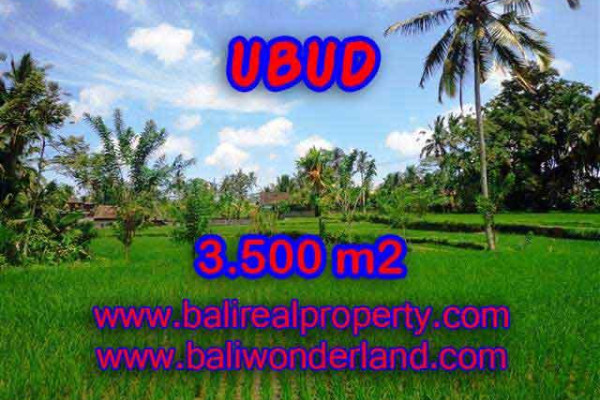 Exotic Property for sale in Bali, LAND FOR SALE IN UBUD Bali – TJUB388