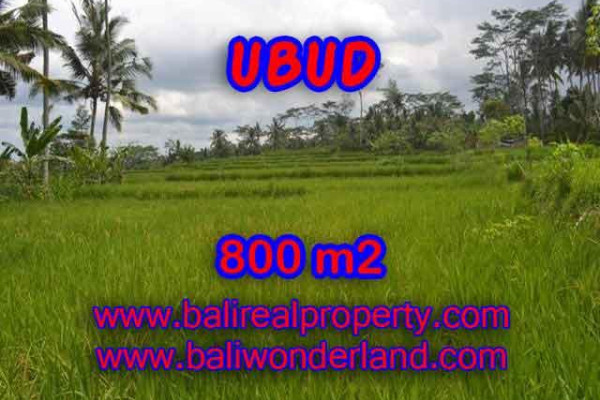Magnificent Property for sale in Bali, land for sale in Ubud Bali – TJUB393