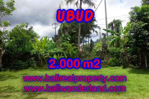 Land in Bali for sale, Outstanding view in Ubud Center Bali – TJUB367