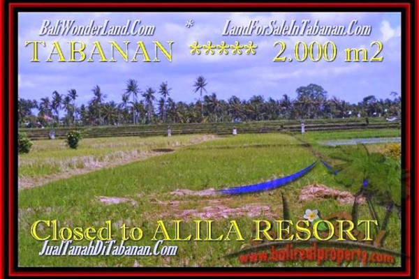 FOR SALE Beautiful 2.000 m2 LAND IN TABANAN TJTB187